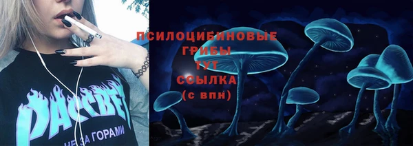 мет Бородино