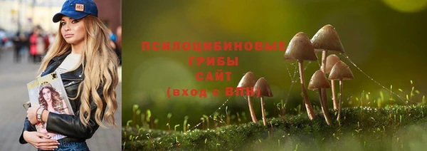 мет Бородино