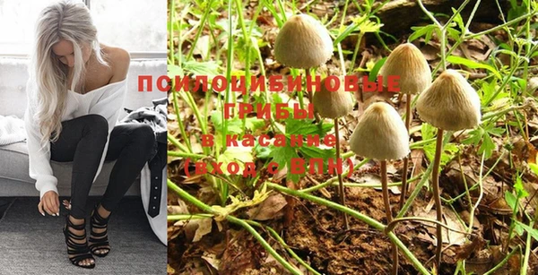 дурь Богородицк