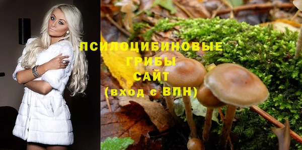 мет Бородино