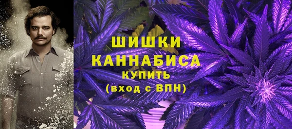 мет Бородино