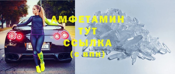 сатива Богданович