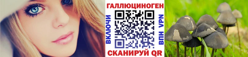 Псилоцибиновые грибы Psilocybine cubensis  Менделеевск 